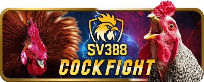 Trải nghiệm ứng dụng di động Fun888 Win